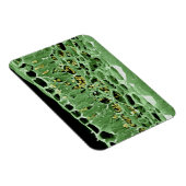 リーフの断面 マグネット (右側)