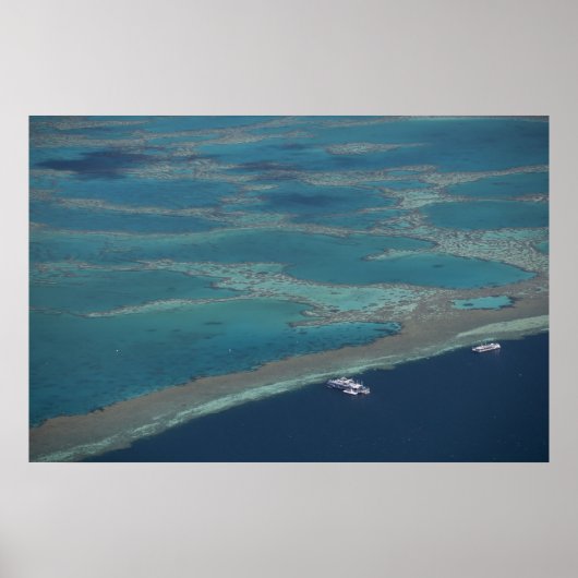 リーフの近くのダイビングプラットフォ素晴らしーム ポスター (正面)