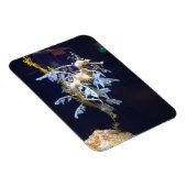 リーフィドラゴン磁石 マグネット (右側)