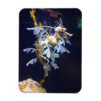 リーフィドラゴン磁石 マグネット