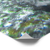 リーフイカ ポスター (角)