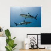 リーフカリブのサメ ポスター (ホームオフィス)