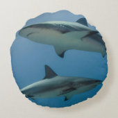 リーフカリブのサメ ラウンドクッション (裏面)