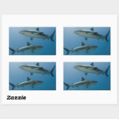 リーフカリブのサメ 長方形シール (シート)