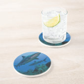 リーフカリブのシャークジャルジンデラレイナ コースター (側面)