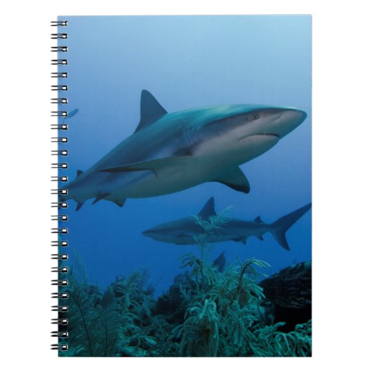 リーフカリブのシャークジャルジンデラレイナ ノートブック (正面)