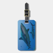 リーフカリブのシャークジャルジンデラレイナ ラゲッジタグ (正面縦)
