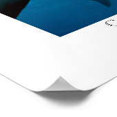 リーフカリブのシャーク ポスター (角)