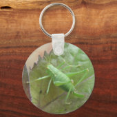 リーフキーチェーンのグリーンクリケット キーホルダー (正面)