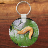 リーフキーチェーンのスラッグ キーホルダー (正面)