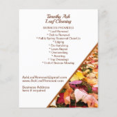 リーフクリアリングクリーンアップ削除プロモーション チラシ (裏面)