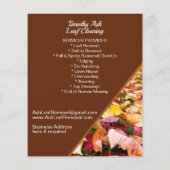 リーフクリアリングクリーンアップ削除プロモーション チラシ (裏面)