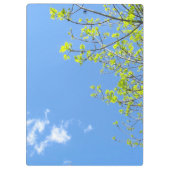 リーフクリップボード クリップボード (裏面)