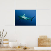 リーフクールシャークのポスター ポスター (キッチン)