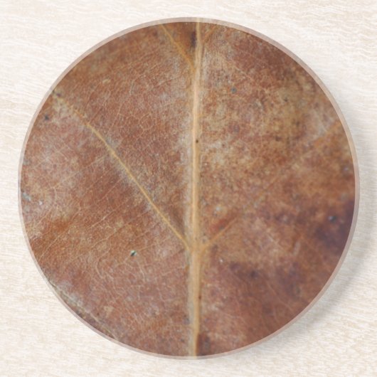 リーフコースター コースター (正面)