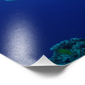 リーフシャークフォトプリント フォトプリント (角)