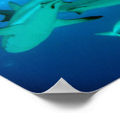 リーフシャークポスター ポスター (角)