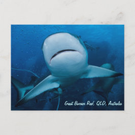 リーフシャーク素晴らしバリアリーフコーラルシーギフト ポストカード