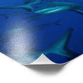 リーフシャーク素晴らしバリアリーフコーラルシー フォトプリント            (角)