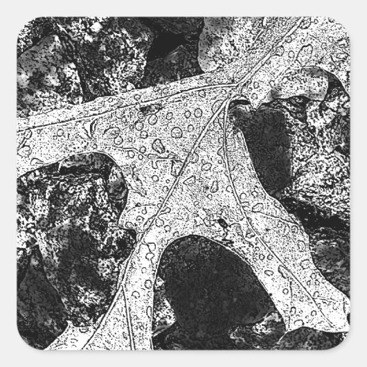 リーフスケッチスケッチ スクエアシール (正面)