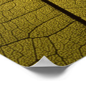 リーフスケルトン ポスター (角)