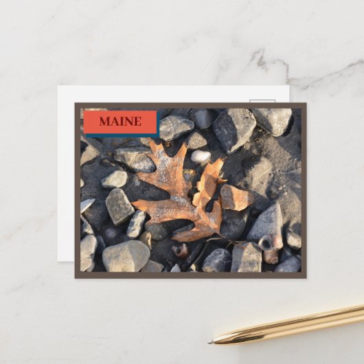 リーフストーンシェルシーポイントビーチメイン自然 ポストカード (正面/裏面インサイチュ)