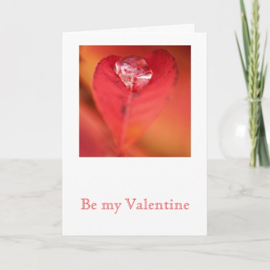 リーフハート シーズンカード (正面)