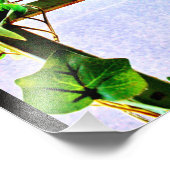 リーフビュー フォトプリント            (角)