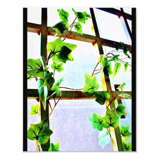 リーフビュー フォトプリント            (正面)