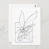 リーフピクシ ポストカード (正面/裏面)