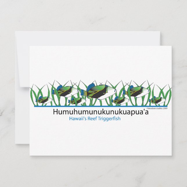 リーフフィッシュ (正面)