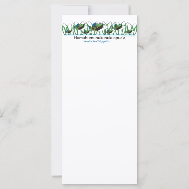 リーフフィッシュ (正面)