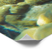 リーフフィッシュ ポスター (角)