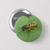 リーフボタンでホバーフライ 缶バッジ (正面&裏面)