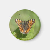 リーフマグネット上の蝶の地図 マグネット (正面)