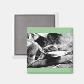 リーフ上のカエルB+W マグネット (正面/裏面)