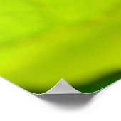 リーフ上のマクロダンセルフライ ポスター (角)