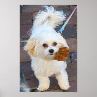 リーフ付きMayaプリント ポスター