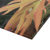 リーフ勉強2 カッティングボード (角)