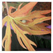 リーフ勉強2 タイル (正面)