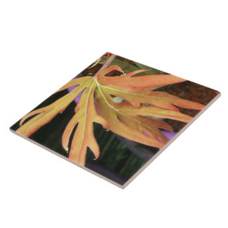 リーフ勉強2 タイル