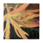 リーフ勉強2 タイル (正面)