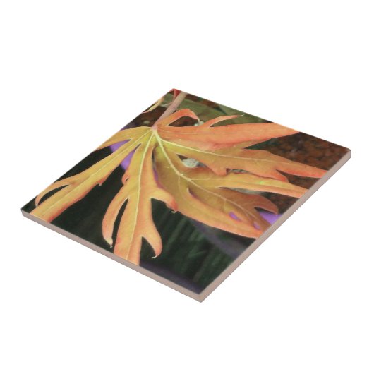 リーフ勉強2 タイル (側面)