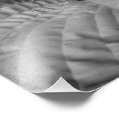 リーフ抽象芸術&ウォータードロップ – B&W フォトプリント            (角)