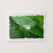 リーフ水滴保存デザイン ジグソーパズル (横)