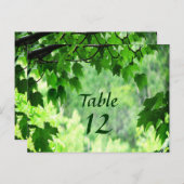 リーフ結婚のテーブル番号 ポストカード (正面/裏面)