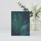 リーフ自然写真 ポストカード (スタンド正面)