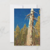 リーフ落ちたバイメイナード・ディクソン サンキューカード (正面)