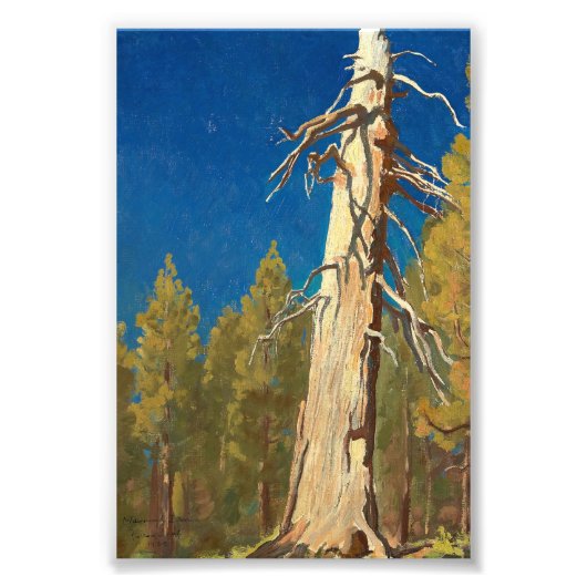 リーフ落ちたバイメイナード・ディクソン フォトプリント (正面)