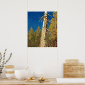 リーフ落ちたバイメイナード・ディクソン ポスター (キッチン)